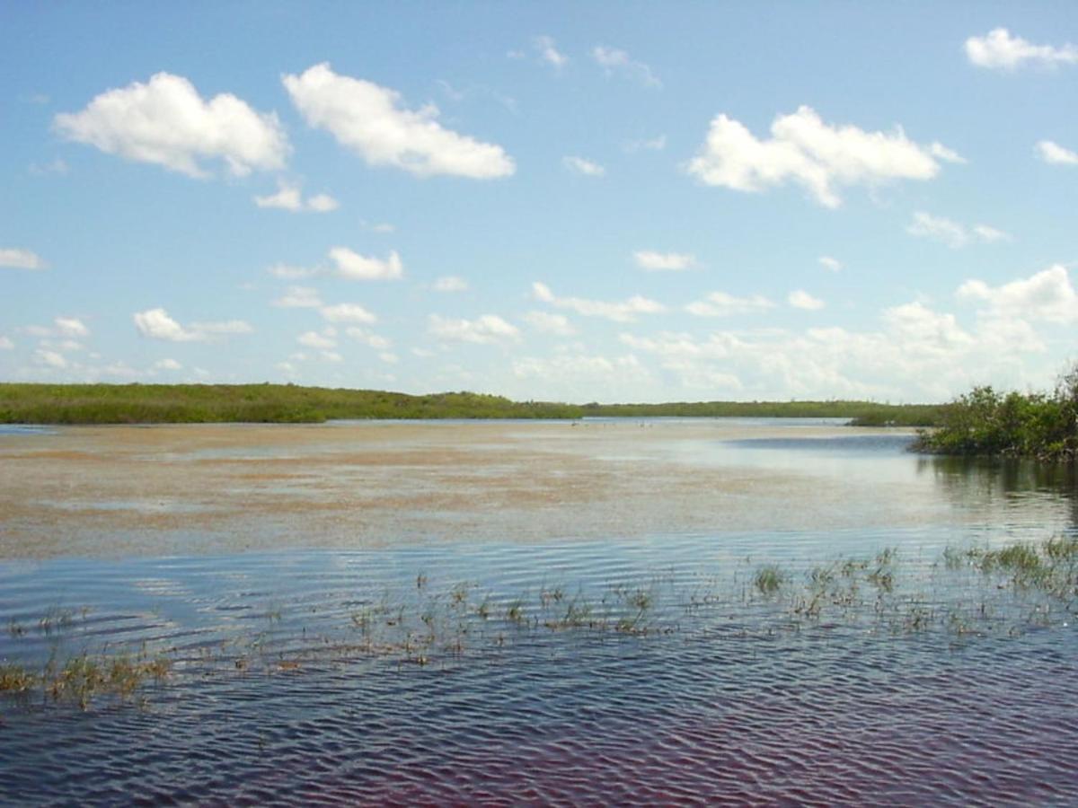 James Cistern Buttonwood Reserve 2C المظهر الخارجي الصورة