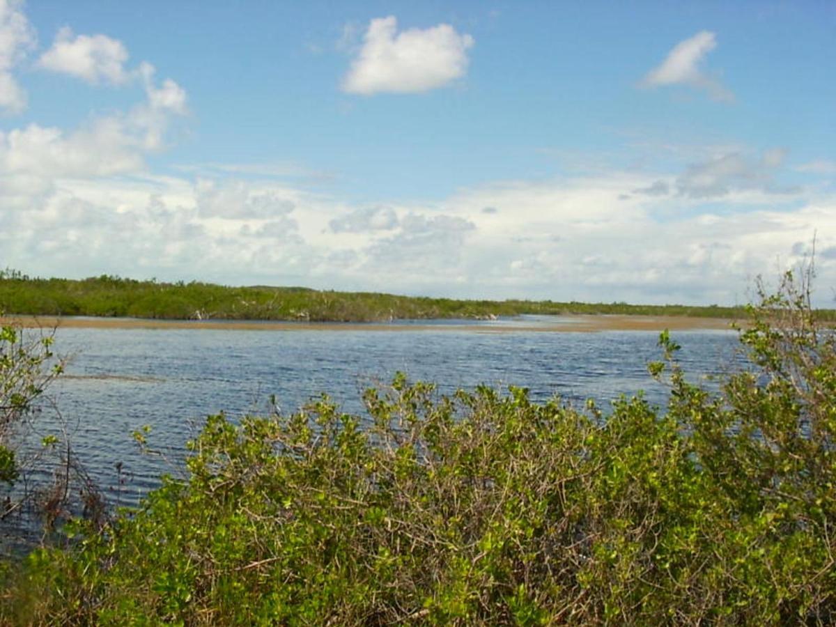 James Cistern Buttonwood Reserve 2C المظهر الخارجي الصورة